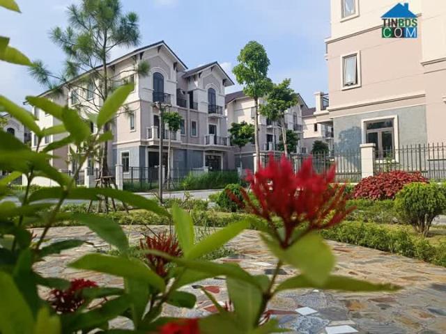 Biệt Thự bán tại Bắc Ninh