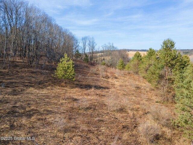 Land for sale in Greene, New York