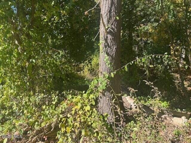 Land for sale in New York