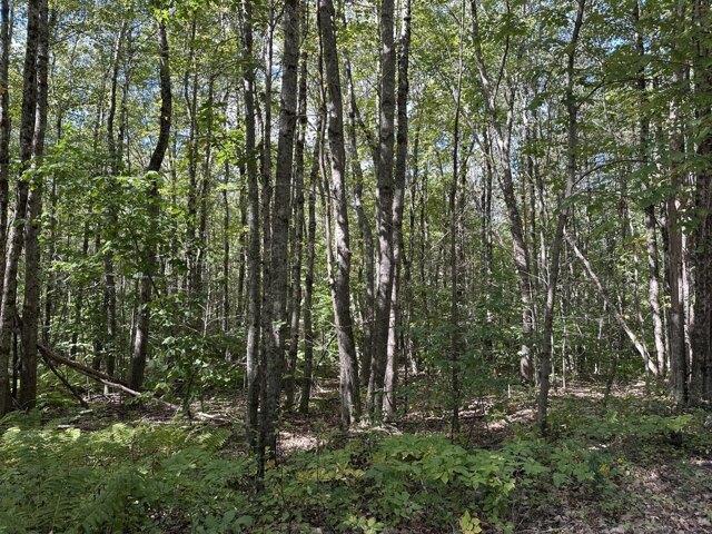 Land for sale in Appleton, Maine