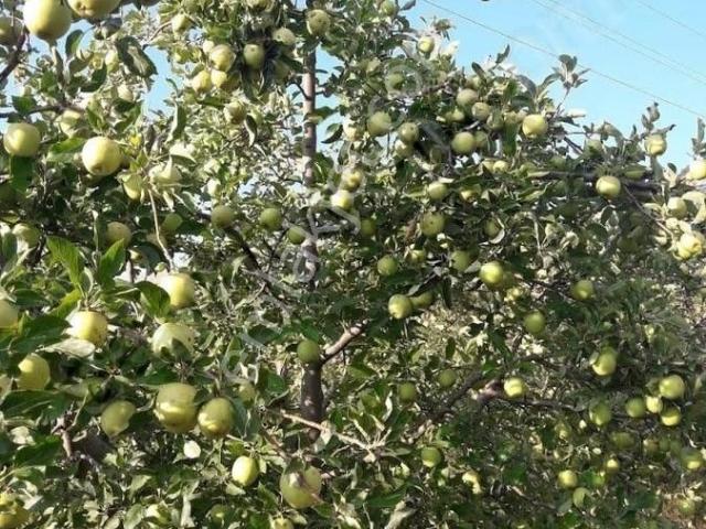 Korkuteli, Antalya içerisinde satılık Arsa