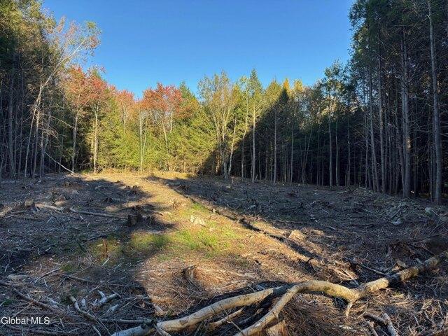 Land for sale in Sand Lake, New York