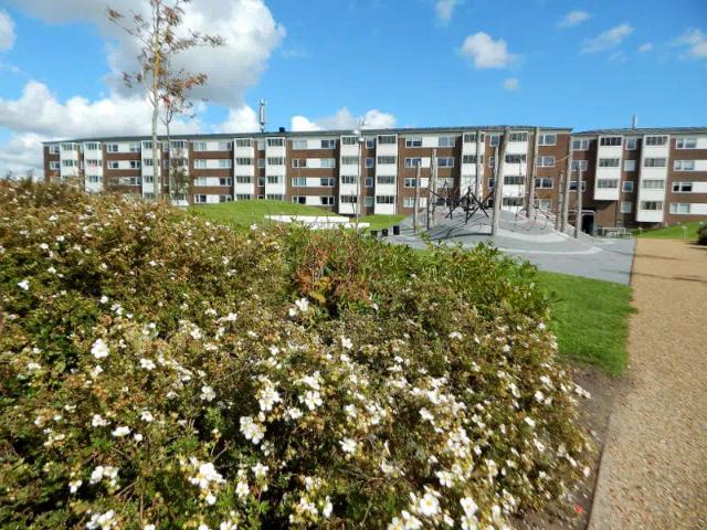 Lejlighed til leje i Nørresundby, Brønderslev-Dronninglund