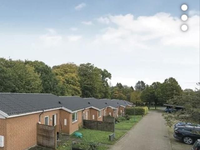 Hus til leje i Viborg, Århus