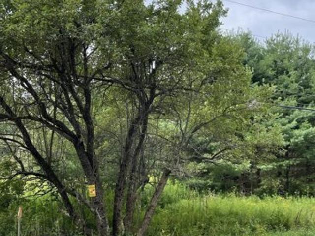 Land for sale in Broadalbin Land for sale in Broadalbin