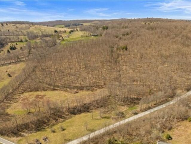 Land for sale in East Worcester, New York