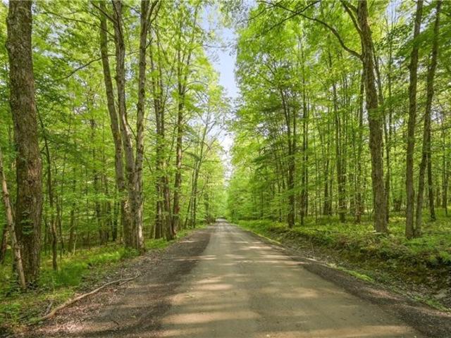 Land for sale in Laurens