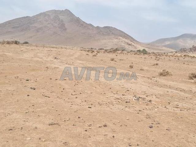 Propriété location à Guelmim