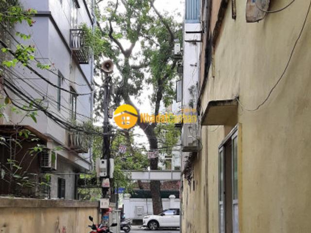 Nhà cho thuê