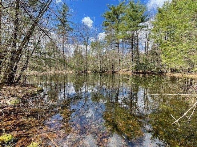 Land for sale in Petersham, Massachusetts