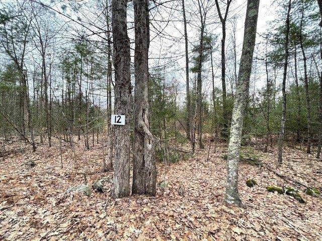Land for sale in Petersham, Massachusetts