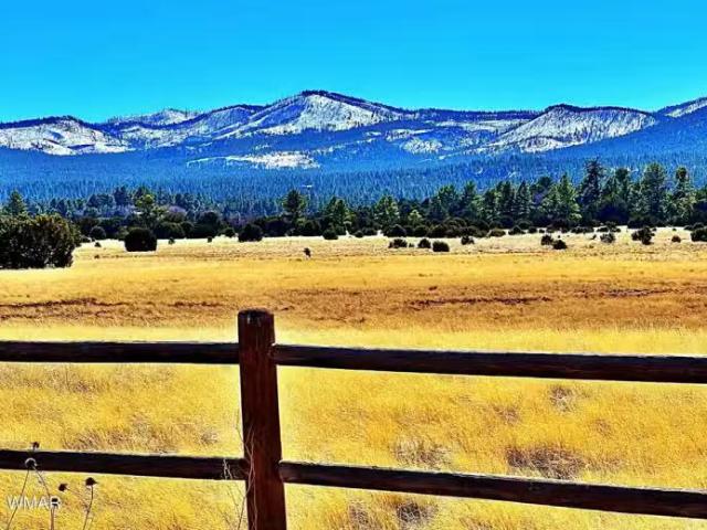House for rent in Navajo, Arizona