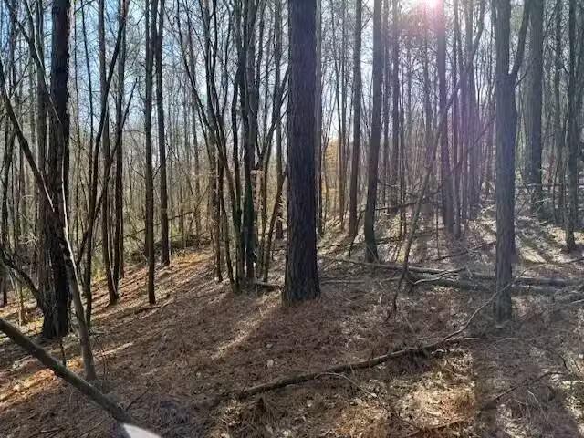 House for rent in Flat Rock, Alabama