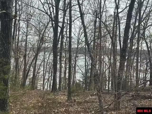 House for rent in Ark