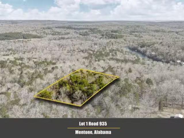 House for rent in Flat Rock, Alabama