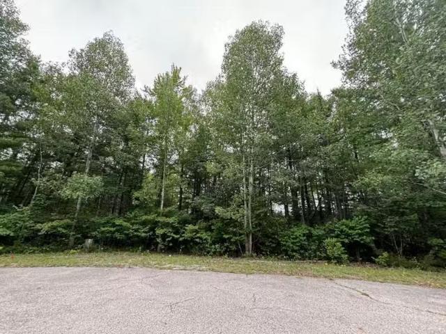 House for sale in Alpena
