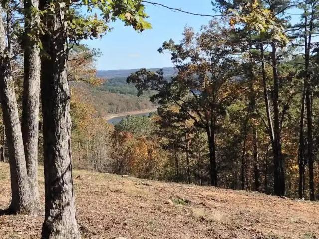 House for rent in Ark
