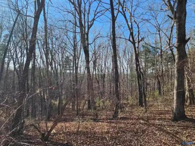 House for rent in Flat Rock, Alabama