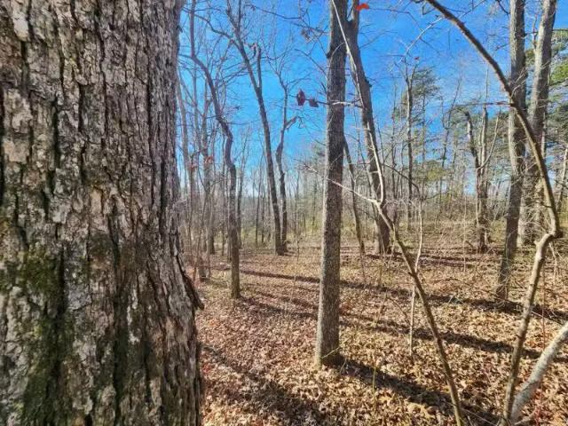 House for rent in Flat Rock, Alabama