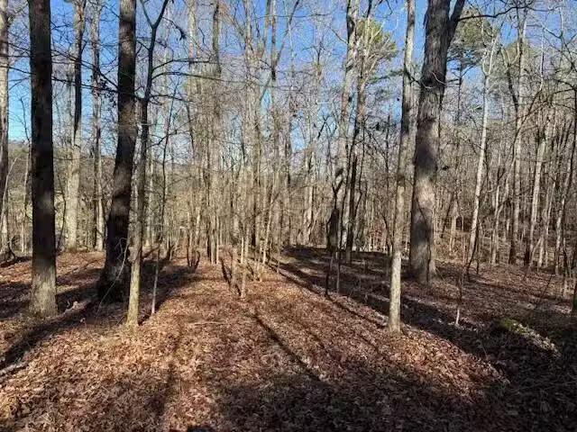 House for rent in Flat Rock, Alabama