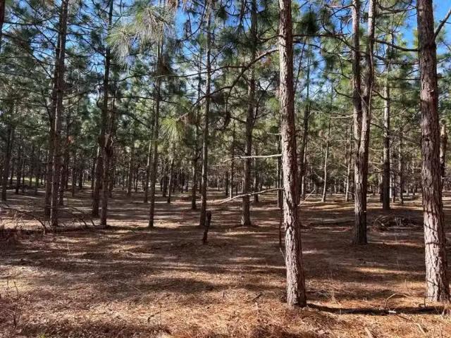 House for rent in Dothan