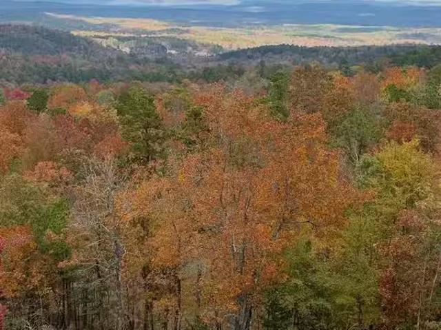 House for rent in Ark