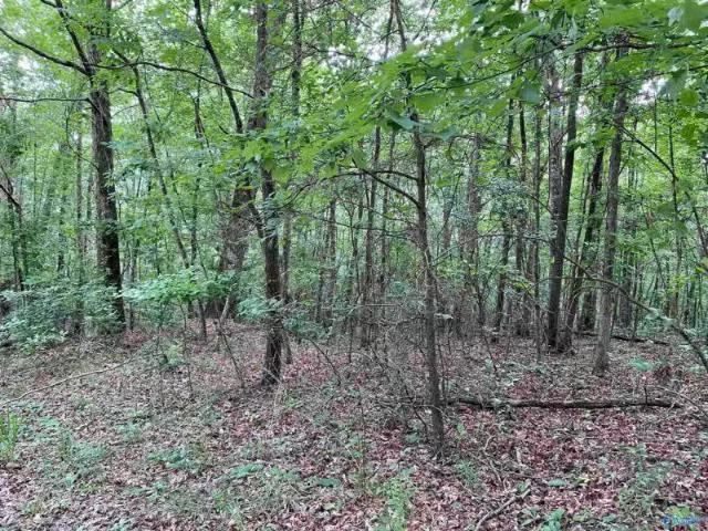 House for rent in Fort Payne House for rent in Fort Payne