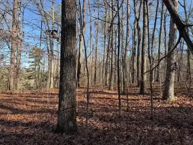 House for rent in Flat Rock, Alabama
