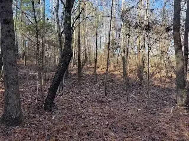 House for rent in Flat Rock, Alabama