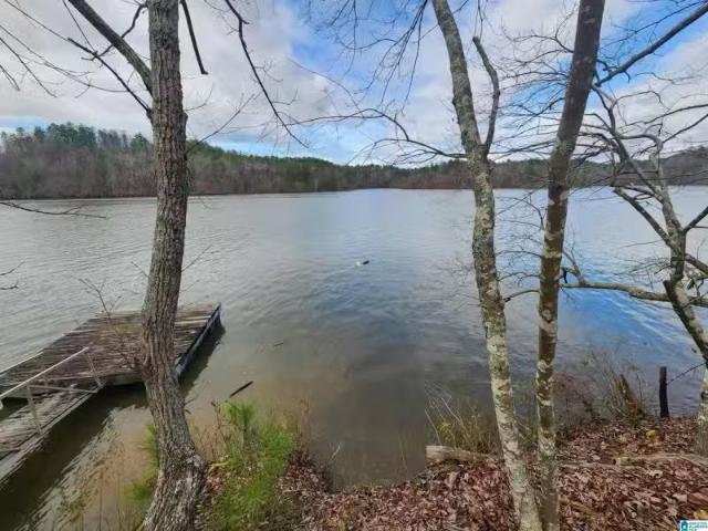 House for rent in Tallapoosa, Alabama