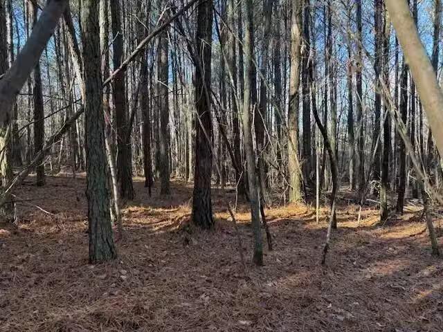 House for rent in Flat Rock, Alabama