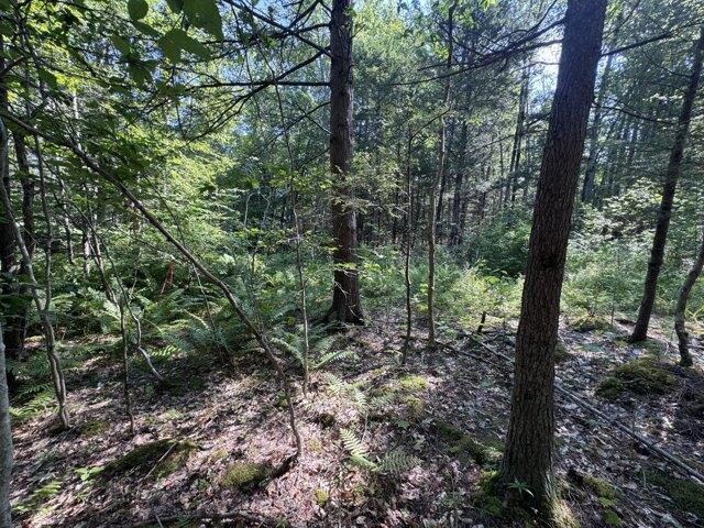 Land for sale in Falmouth, Maine