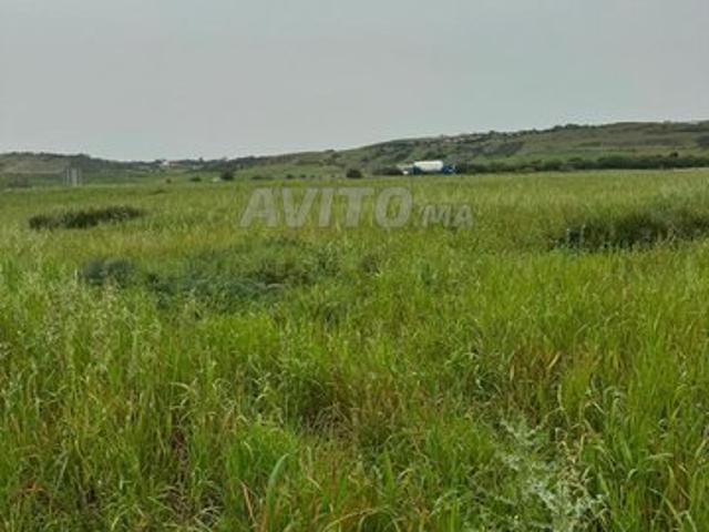 Propriété vente à Assilah, Tanger-Tétouan