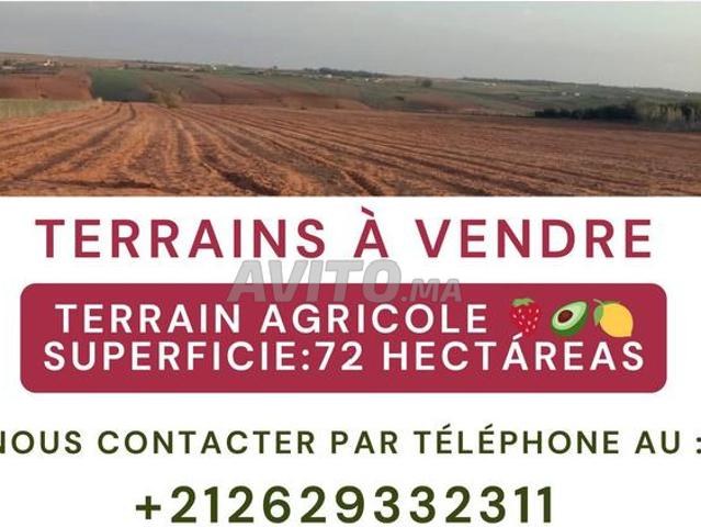 Propriété vente à Moulay Bousselham