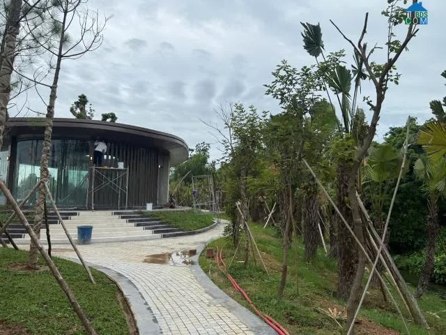 Biệt Thự bán