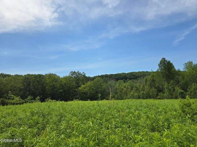 Land for sale in Stephentown