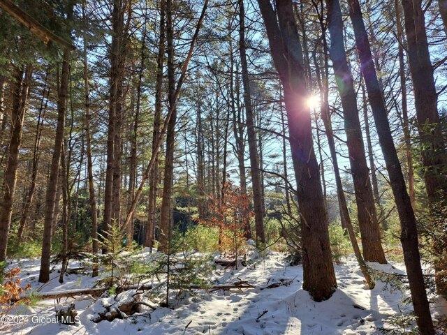 Land for sale in Northville