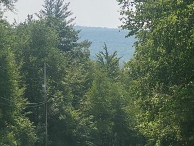 Land for sale in Stephentown
