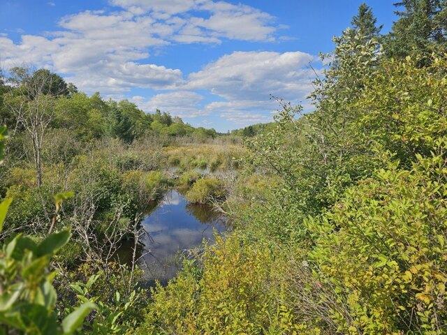 Land for sale in Georgetown, Columbia