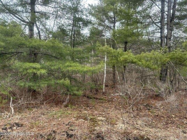 Land for sale in Greenfield Center
