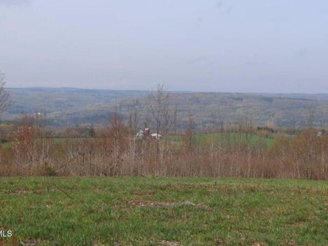Land for sale in Florida