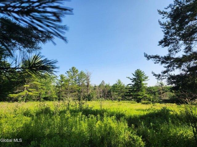 Land for sale in Delanson
