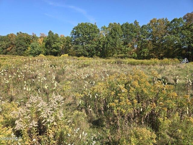 Land for sale in Greenville, New York