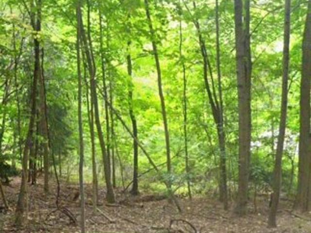 Land for sale in Amsterdam