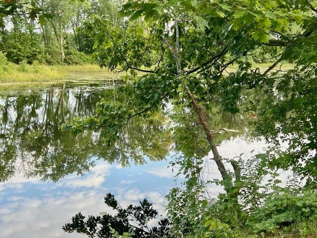 Land for sale in Gansevoort