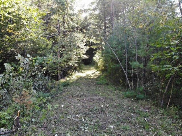 Land for sale in Bolton Landing, New York