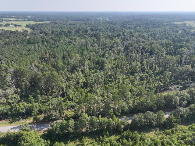 Land for sale in Amite, Louisiana
