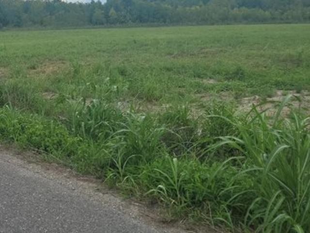 Farm for sale in Opelousas, Louisiana