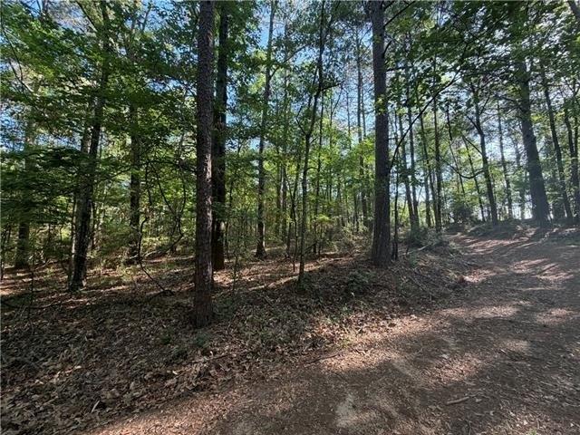 Land for sale in Olla, Louisiana