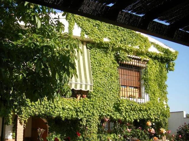 Casa en alquiler en Alfacar Casa en alquiler en Alfacar
